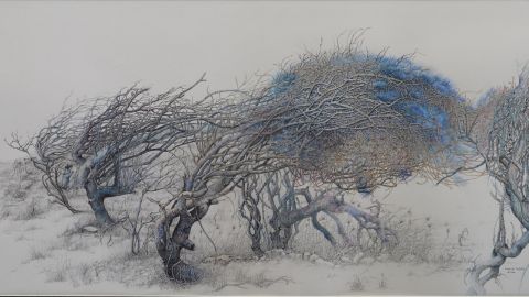 Graphite pencil, watercolour artwork by Lexie Watt titled Windblown trees Bombo Headland