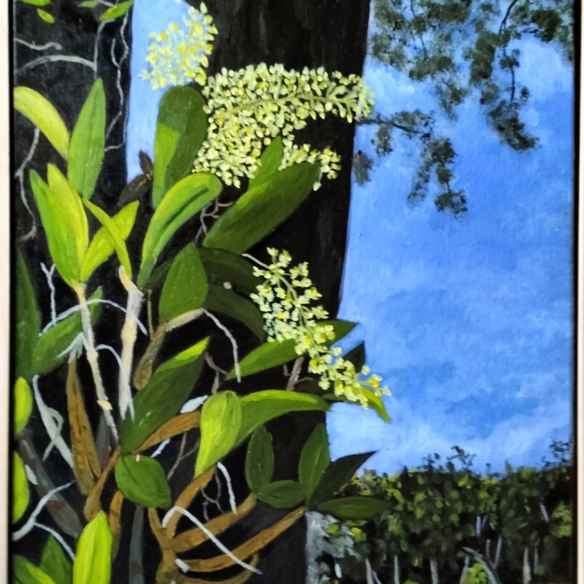 Image Artwork by Patricia Boisgard titled Rock Orchids, 2024