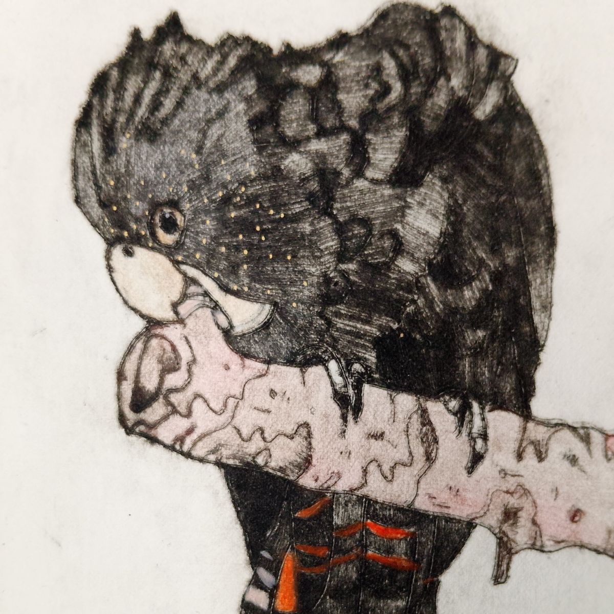 Image Keedah Throssell_River sister_ acetate etching_125mmx75mm_jpg