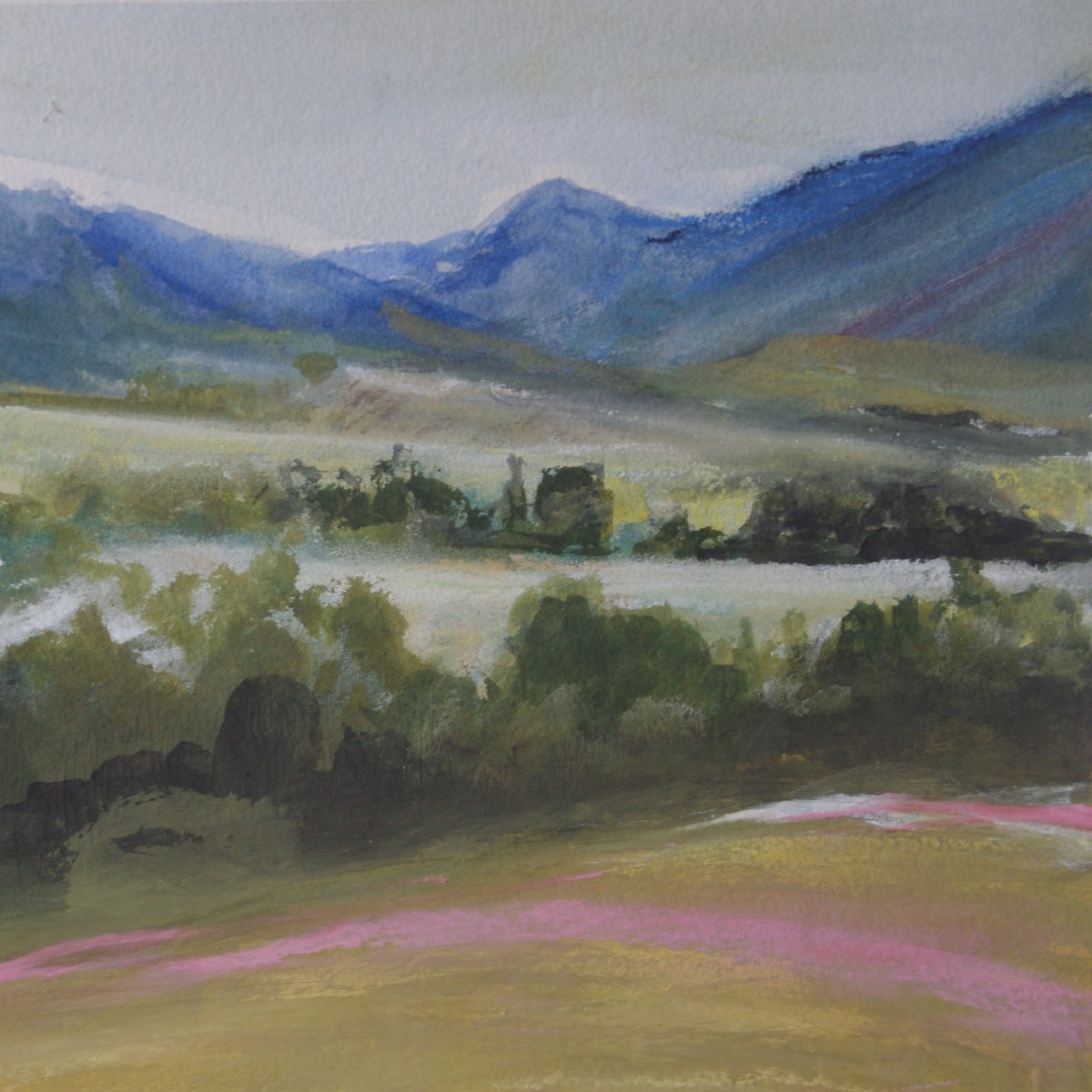 Image Araluen Valley, Yuin Country, 2024. Watercolour Size 45 x 55cm