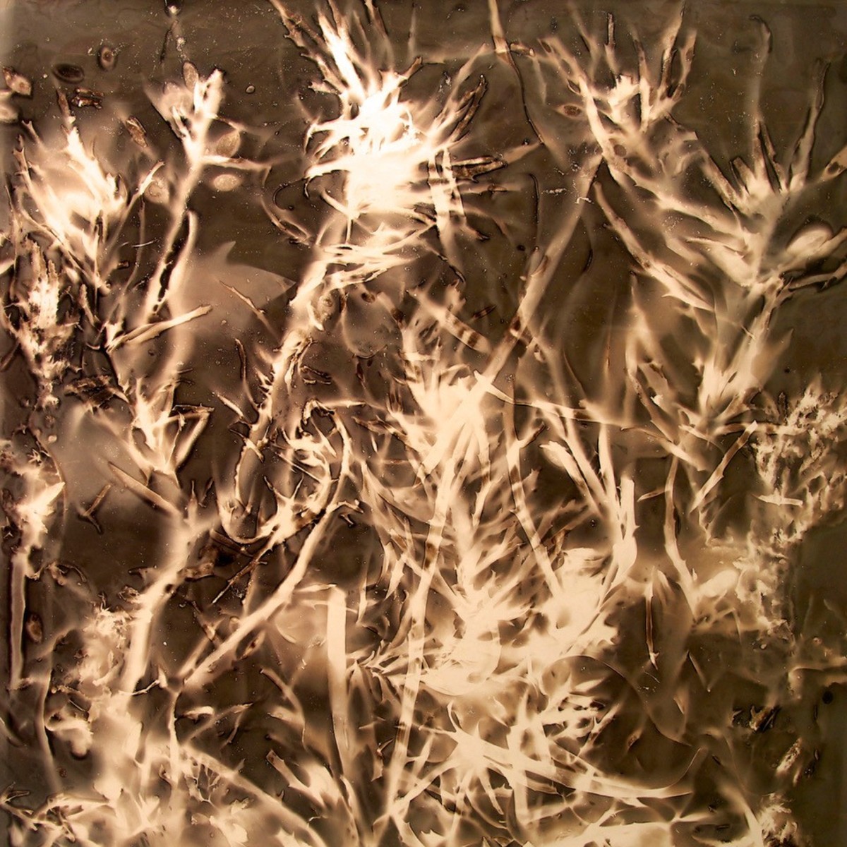 Image Artwork by Marie Lund titled Seaweed.