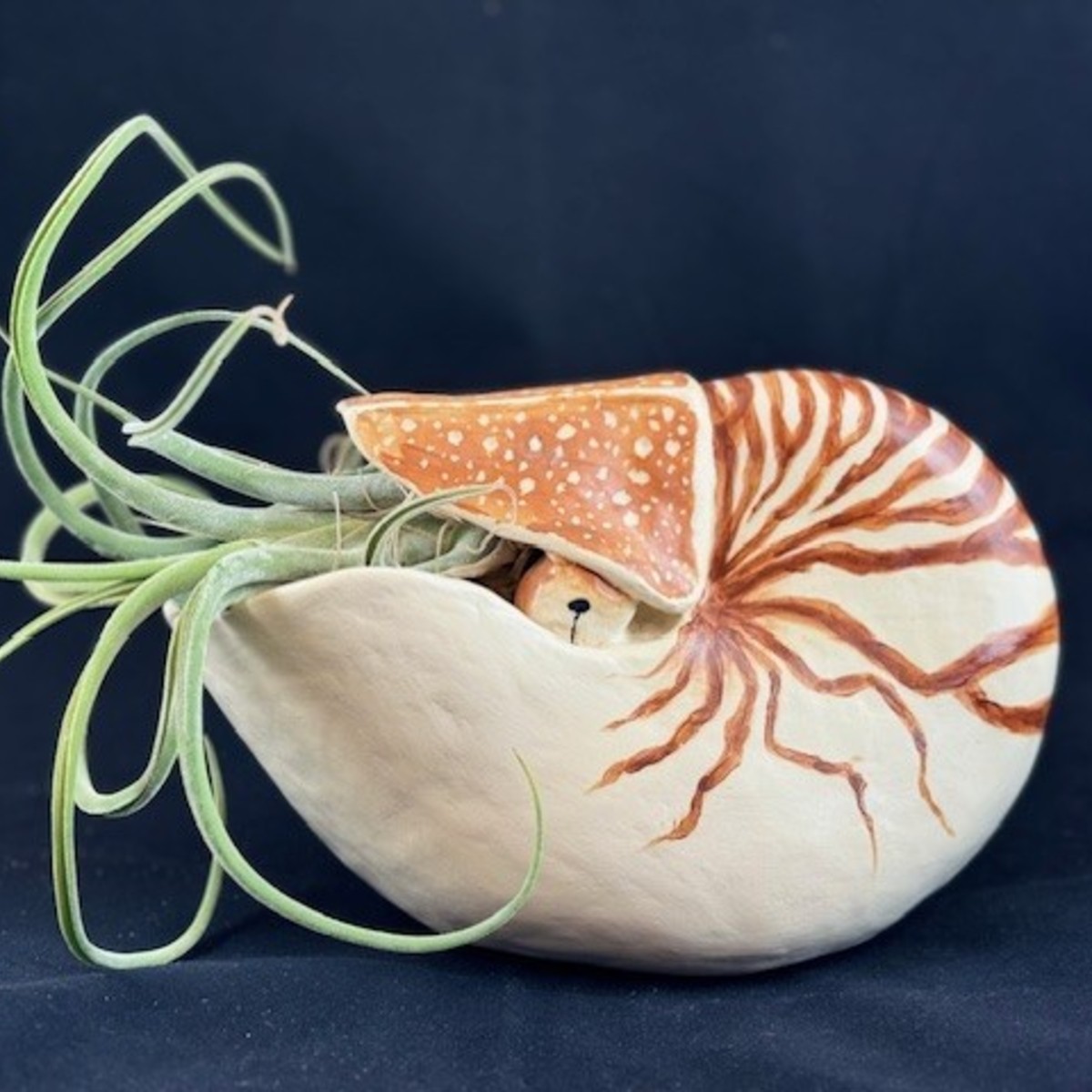 Image Ceramic artwork by Selanie Waddilove titled Nautilus