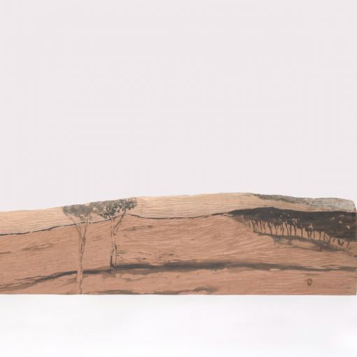 Woodblock by Julian Laffan titled Clearing, Blakely's Redgum (Eucalyptus Blakelyii).