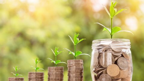 Seedlings growing out of columns of coins.