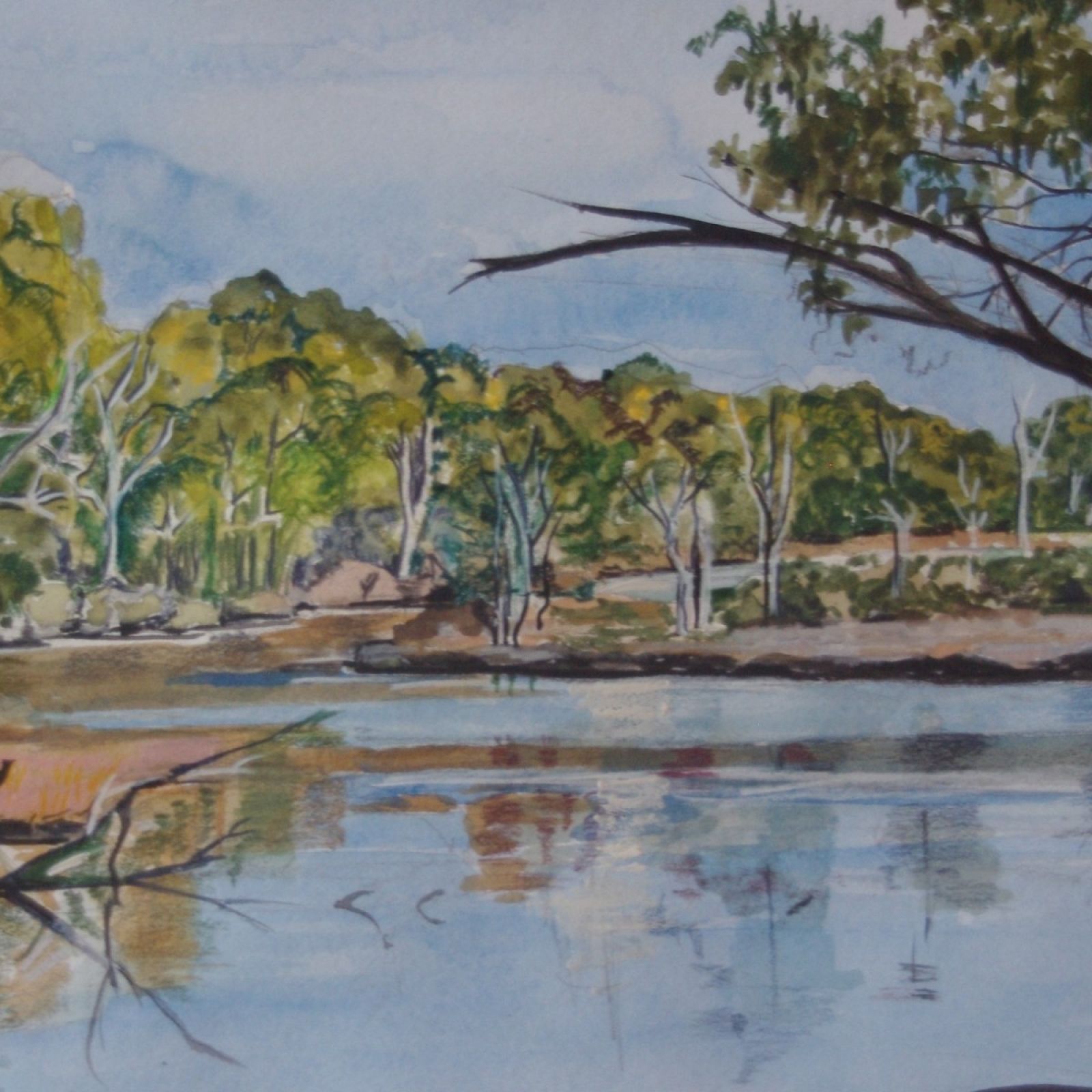 Tonys Creek, Tasman Peninsula, Turrakana 2024. Watercolour Size 52 x 43 banner image
