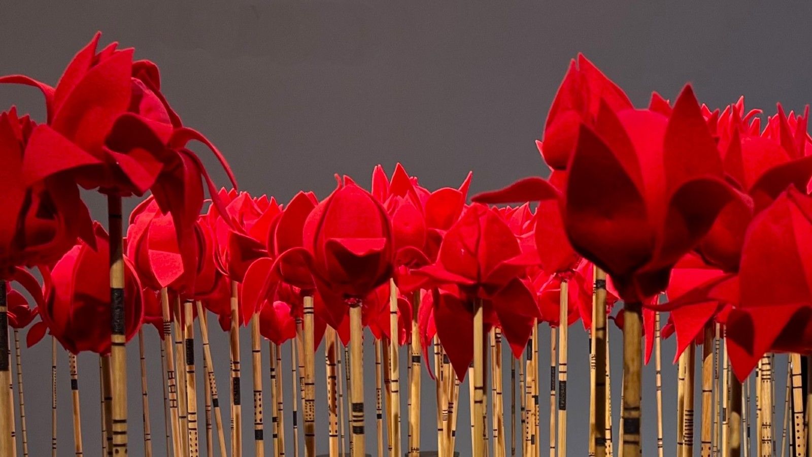A collection of red felt flowers mounted on bamboo stakes. banner image