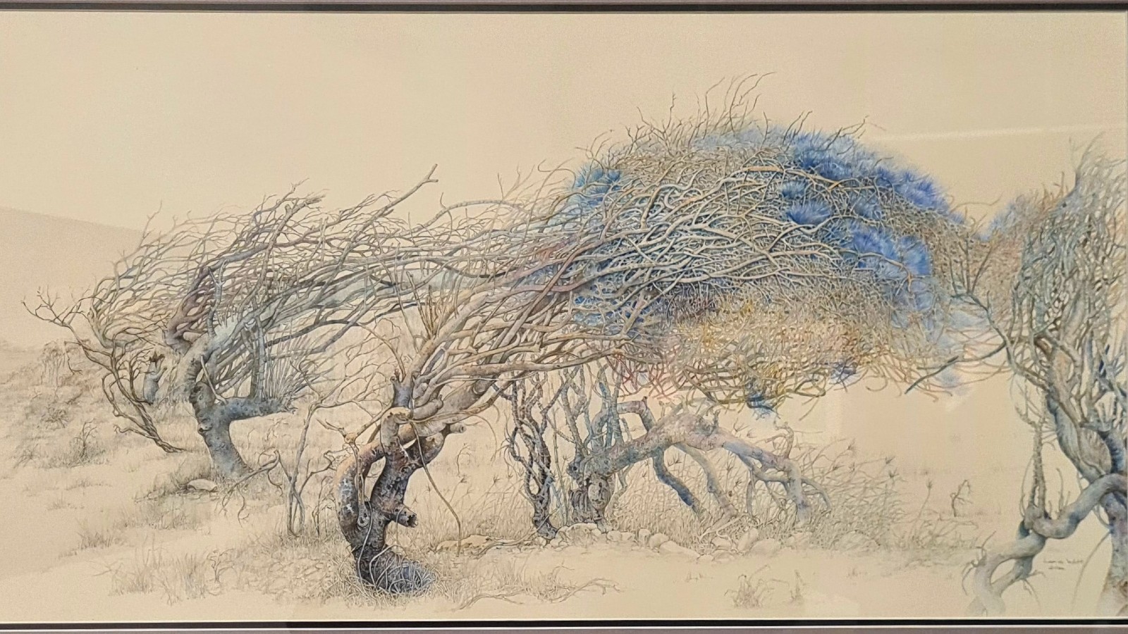 Basil Sellers Art Prize 2024 winner - Windblown trees, Bombo Headland
