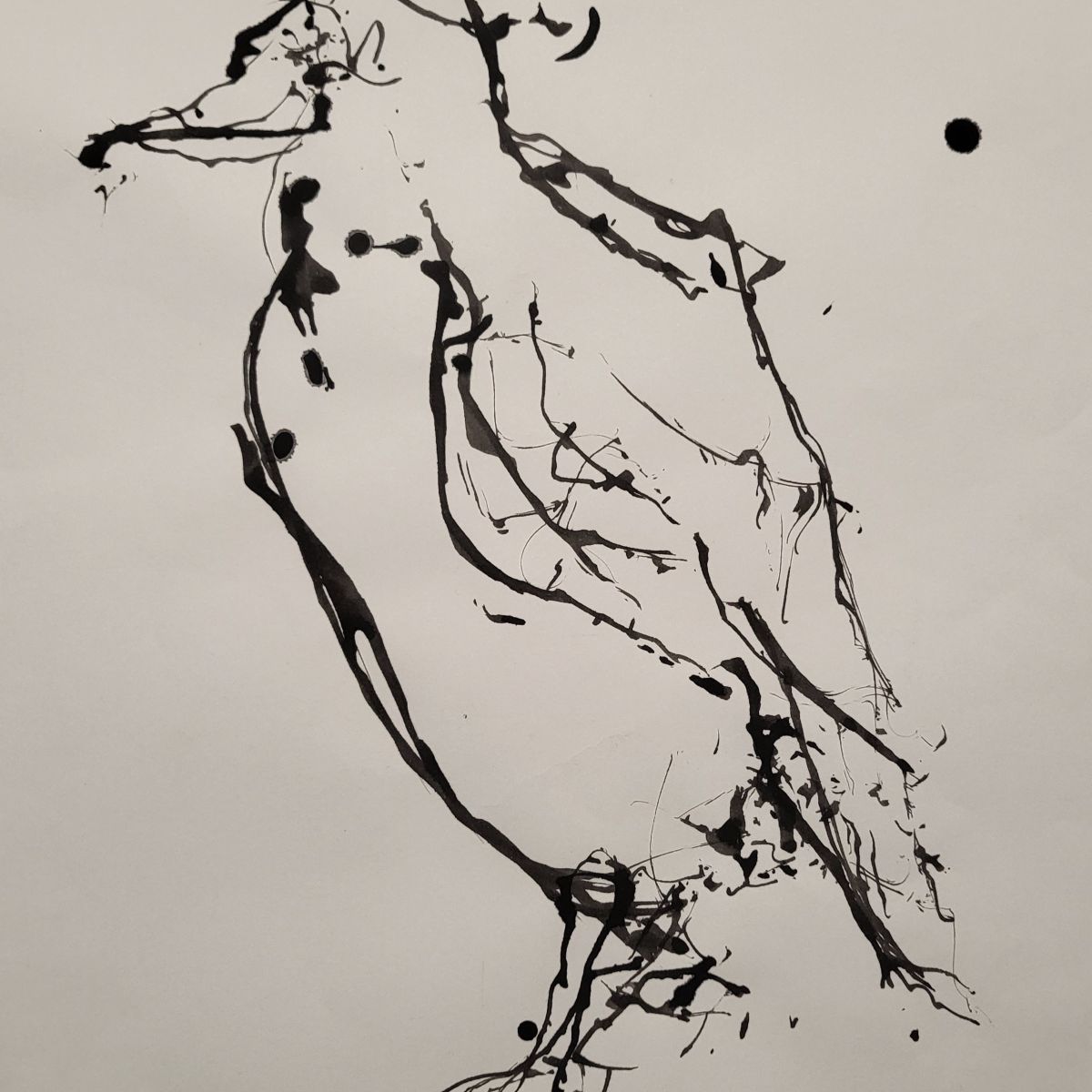 Image TrishJefcoate_bird_string drawing_59cmx42cm