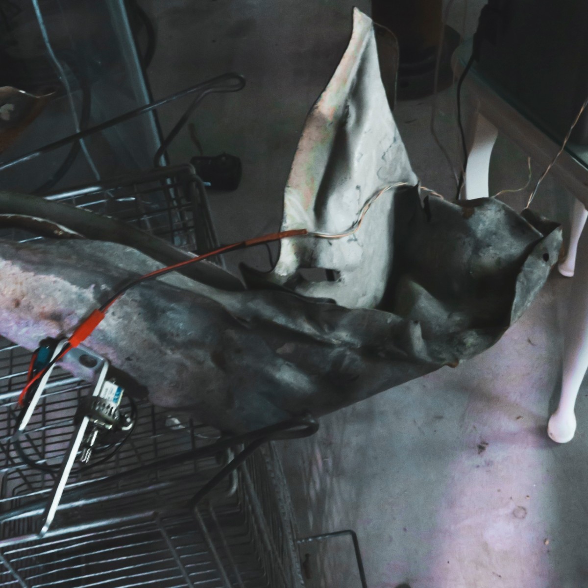 Image Close-up of a makeshift installation with a branch, bent metal pieces and clipped wires connected to a small electronic device.